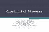 Clostridial Diseases Dr. M. Bashashati Department of Clinical Sciences, Section of Poultry Diseases, Faculty of Veterinary Medicine, University of Tehran