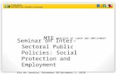 MTE MINISTRY OF LABOR AND EMPLOYMENT Seminar on Inter-Sectoral Public Policies: Social Protection and Employment Rio de Janeiro, November 30-December 1,