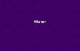 Water. Most abundant compound in living things Important to understanding the functions of living things Composed of 2 hydrogens and 1 oxygen Atoms connected.