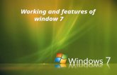 Working and features of window 7. AGENDA  Introduction to window 7  Reasons to use window 7  Features of window 7  Advantages of window 7  System.
