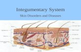 Integumentary System Skin Disorders and Diseases.