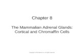 Chapter 8 The Mammalian Adrenal Glands: Cortical and Chromaffin Cells Copyright © 2013 Elsevier Inc. All rights reserved.