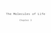 The Molecules of Life Chapter 3. The Simplest Hydrocarbon Methane = Carbon + Hydrogen.