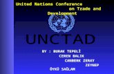 BY : BURAK TEPELİ BY : BURAK TEPELİ CEREN BALIK CEREN BALIK CANBERK ZERAY CANBERK ZERAY ZEYNEP ÖYKÜ SAĞLAM ZEYNEP ÖYKÜ SAĞLAM United Nations Conference.