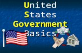 U S Government Basics U nited S tates Government Basics.