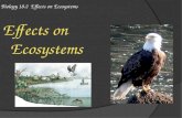Biology 18.2 Effects on Ecosystems Effects on Ecosystems.