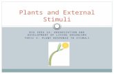 BIG IDEA 14: ORGANIZATION AND DEVELOPMENT OF LIVING ORGANISMS TOPIC V: PLANT RESPONSE TO STIMULI Plants and External Stimuli.