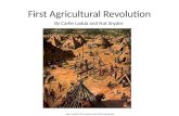 First Agricultural Revolution  By Carlie Ladda and Nat Snyder.