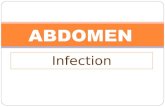Infection ABDOMEN. Infection: 1. Appendicitis 2. Diverticulitis 3. Perinephric Abscess 4. Renal Abscess.