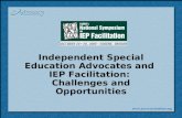 Independent Special Education Advocates and IEP Facilitation: Challenges and Opportunities.