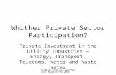 ProFina - Project and Private Finance Feb 2002 Whither Private Sector Participation? Private Investment in the Utility Industries – Energy, Transport,