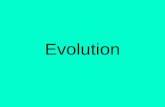 Evolution. I. The Origin Of Life A.Evolution = Species change over time B.Biogenesis = Life from life 1.Experiments disprove spontaneous generation a)Francisco.