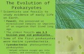 The Evolution of Prokaryotes  Scientists use fossils to study evidence of early life on Earth.  Fossil: the preserved or mineralized remains or imprints.