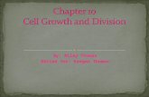 By: Riley Thomas Edited for: Keegan Thomas Living things grow by producing more cells. Cells don’t get much larger than they are. Instead an organism.