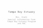 Tampa Bay Estuary Mrs. Stahl Special information from Tampa Bay Estuary Program and FWC