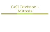 Cell Division - Mitosis. Cell Division—Mitosis Notes Cell Division — process by which a cell divides into 2 new cells Why do cells need to divide? 1.Living.