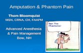 Amputation & Phantom Pain Thom Bloomquist MSN, CRNA, CH, FAAPM Advanced Anesthesia & Pain Management Bow, NH.