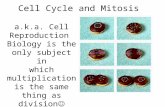 Cell Cycle and Mitosis a.k.a. Cell Reproduction Biology is the only subject in which multiplication is the same thing as division.