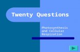 Twenty Questions Photosynthesis and Cellular Respiration