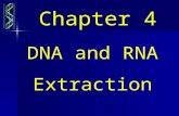 Chapter 4 DNA and RNA Extraction. September 11, 2015September 11, 2015September 11, 2015 Genetic Engineering 2 1.1 Introduction Summarize 1.2 The purpose.