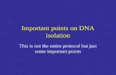 Important points on DNA isolation This is not the entire protocol but just some important points.