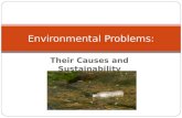 Their Causes and Sustainability Environmental Problems: