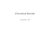 Chemical Bonds Chapter 20. What do these have in common?