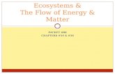 PACKET #80 CHAPTERS #54 & #50 Ecosystems & The Flow of Energy & Matter.