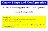1 - SCRF Technology for The 1 TeV Upgrade - Cavity Shape and Configuration Statement: Combine the LL high gradient cavity shape and the Superstructure,