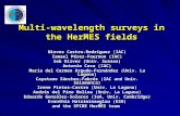 Multi-wavelength surveys in the HerMES fields Nieves Castro-Rodríguez (IAC) Ismael Pérez-Fournon (IAC) Seb Oliver (Univ. Sussex) Antonio Cava (IAC) María.
