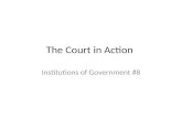 The Court in Action Institutions of Government #8.