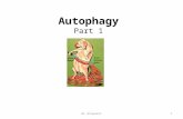 Autophagy Part 1 Dr Aliwaini1. Introduction Types of autophagy Cellular and Molecular mechanisma Signaling pathways Estimation of Autophagic Activity.