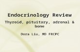 Endocrinology Review Thyroid, pituitary, adrenal & bone Dora Liu, MD FRCPC.