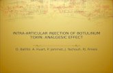 INTRA-ARTICULAR INJECTION OF BOTULINUM TOXIN: ANALGESIC EFFECT D. Batifol, A. Huart, P. Jammet, J. Yachouh, PJ. Finiels.