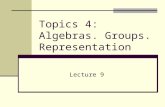 Topics 4: Algebras. Groups. Representation Lecture 9.