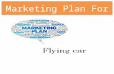 Marketing Plan For. Observation of Competition Competin g Brand ProducerColor Unit Cost PositionDistributionAdvertising Auto Fly Auto Aviation Black and.