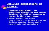 Cellular adaptations of growth:  Cellular adaptations are reversible changes in size number funchion of cell in response to change in their environment.