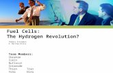 LOGO Fuel Cells: The Hydrogen Revolution? Thomass Eisenmann R. Matthew Willis Team Members: Ibrahim Iskin Nuttavut Intarode Thien Tran Yong Ding.