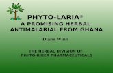 PHYTO-LARIA ® A PROMISING HERBAL ANTIMALARIAL FROM GHANA THE HERBAL DIVISION OF PHYTO-RIKER PHARMACEUTICALS Diane Winn.