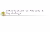 Introduction to Anatomy & Physiology. Anatomy and Physiology Defined Anatomy is the study of structure and the relationship among structures.