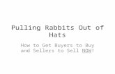 Pulling Rabbits Out of Hats How to Get Buyers to Buy and Sellers to Sell NOW!
