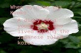 When my name was Keoko A diary of a young girl who lived during the Japanese ruled korea.