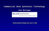 Berkley Synthetic Biology Class, April 5, 2006 Commercial Gene Synthesis Technology John Mulligan.