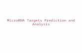 MicroRNA Targets Prediction and Analysis. Small RNAs play important roles The Nobel Prize in Physiology or Medicine for 2006 Andrew Z. Fire and Craig.