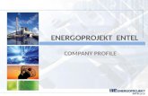 ENERGOPROJEKT ENTEL COMPANY PROFILE. An independent, international consulting company specialized in consulting, engineering, design and project management.