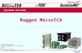 PACKAGING SOLUTIONS Christian Ganninger Product Manager MicroTCA, Backplanes and PSU EMEA  : +49-7082-794-633 @ : Christian.Ganninger@schroff.de Rugged.