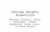Chicago Heights Brownfield Mariana Carbajal, Oalia Rodriguez, Shamel Henderson, Kenan Jones, Ja’Twuan Branch.