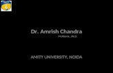 EMERGING TRENDS AND EVOLVING OPPORTUNITIES IN PHARMACY Dr. Amrish Chandra M.Pharm., Ph.D. AMITY UNIVERSITY, NOIDA.