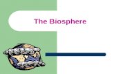 The Biosphere. Earth: A Living Planet General Vocabulary Ecology: The study of how living organisms interact with each other and with their surroundings.