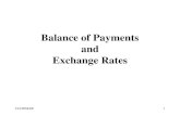 Ch1/BP&ER1 Balance of Payments and Exchange Rates.